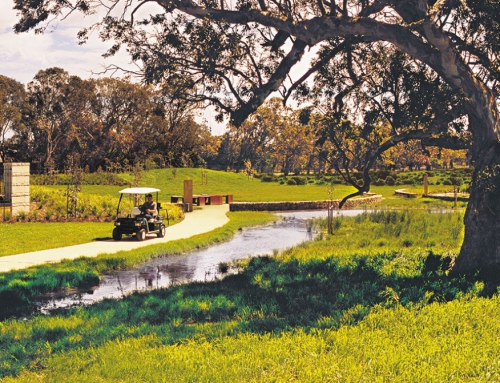 Cart Paths