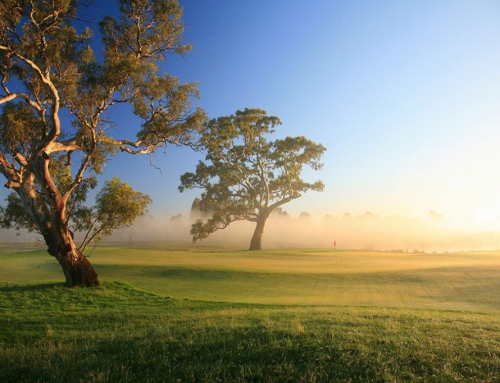 6th Hole – Champions Course