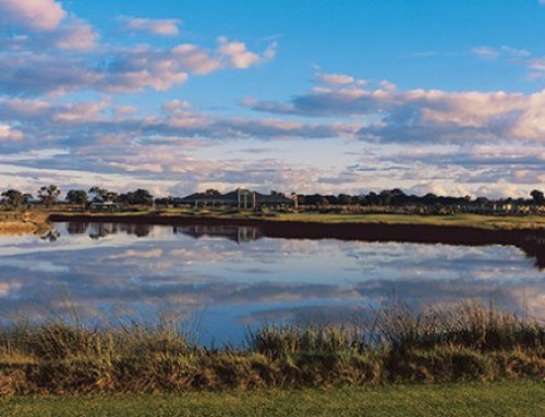 Wetlands