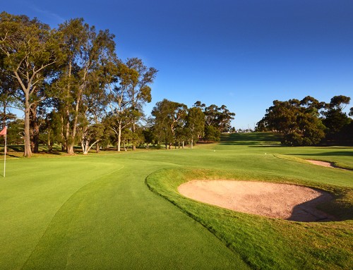 Golf Course – Geelong Golf Club Residential Estate